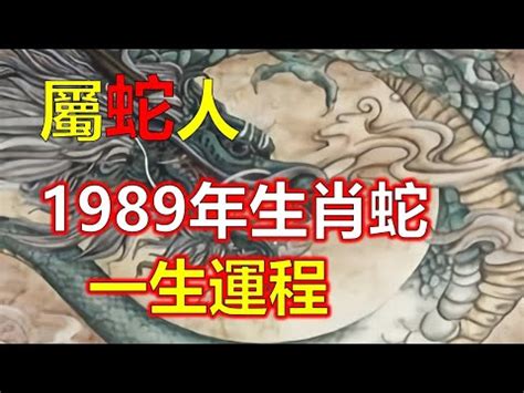 1989年屬什麼生肖